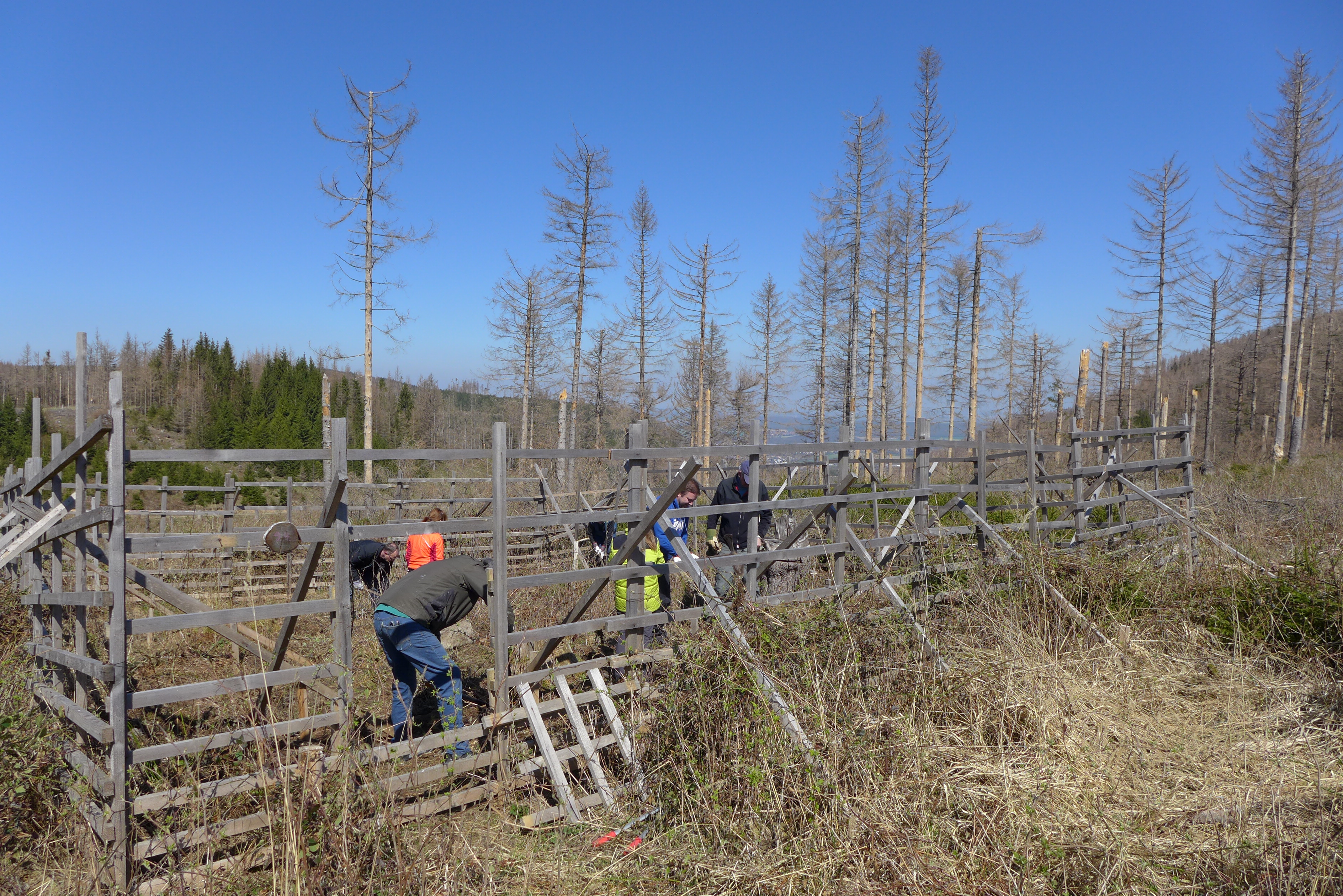 Arbeit im Pflanzgatter